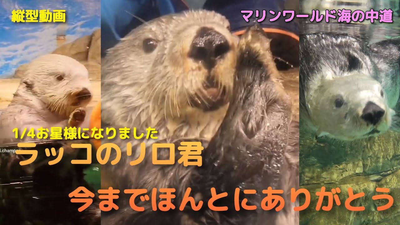 総集編】リロ君今までありがとう - YouTube