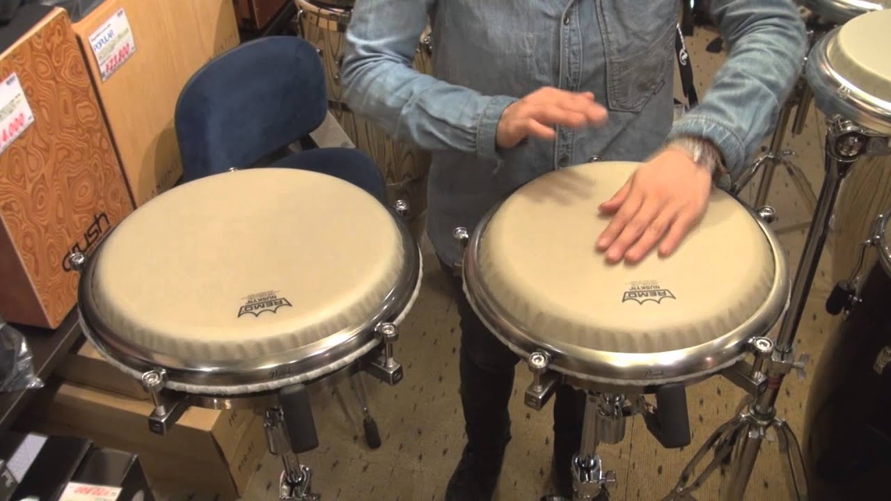 池部楽器店】Pearlトラベルコンガ・ニュースキンヘッド仕様モデル