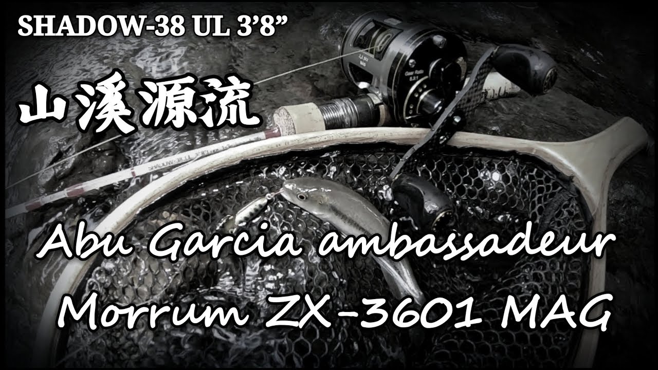2019.05.XX Abu Garcia ambassadeur Morrum ZX-3601 MAG SHADOW-38ul 3