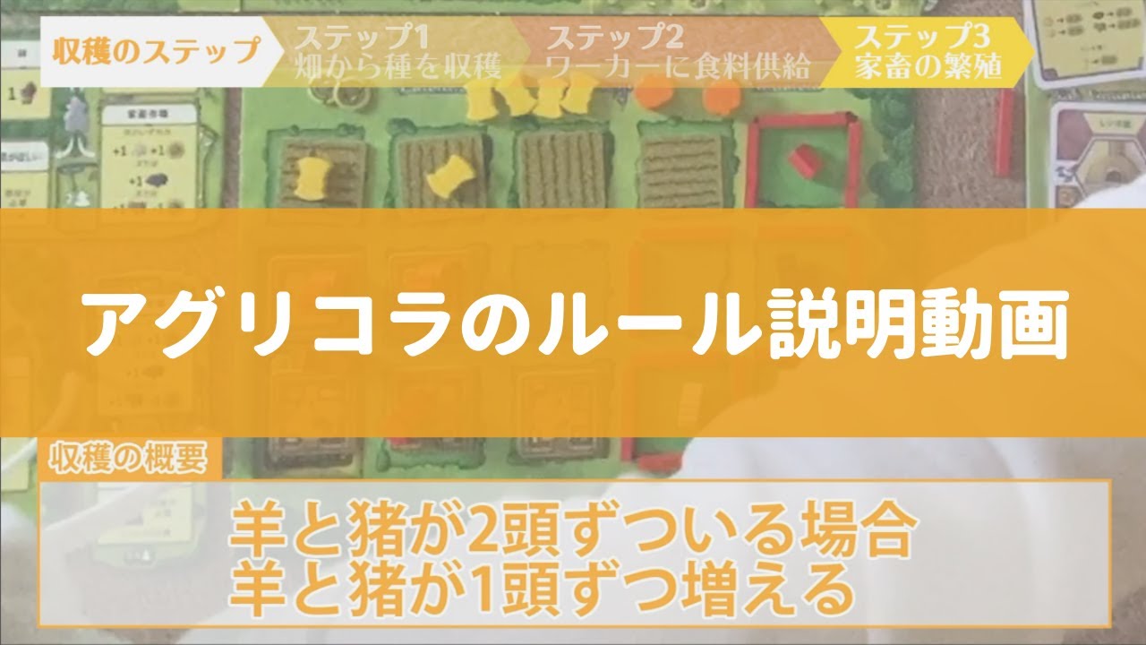 アグリコラのすべて(概要・内容物・スリーブ・レビュー・ルール・戦略