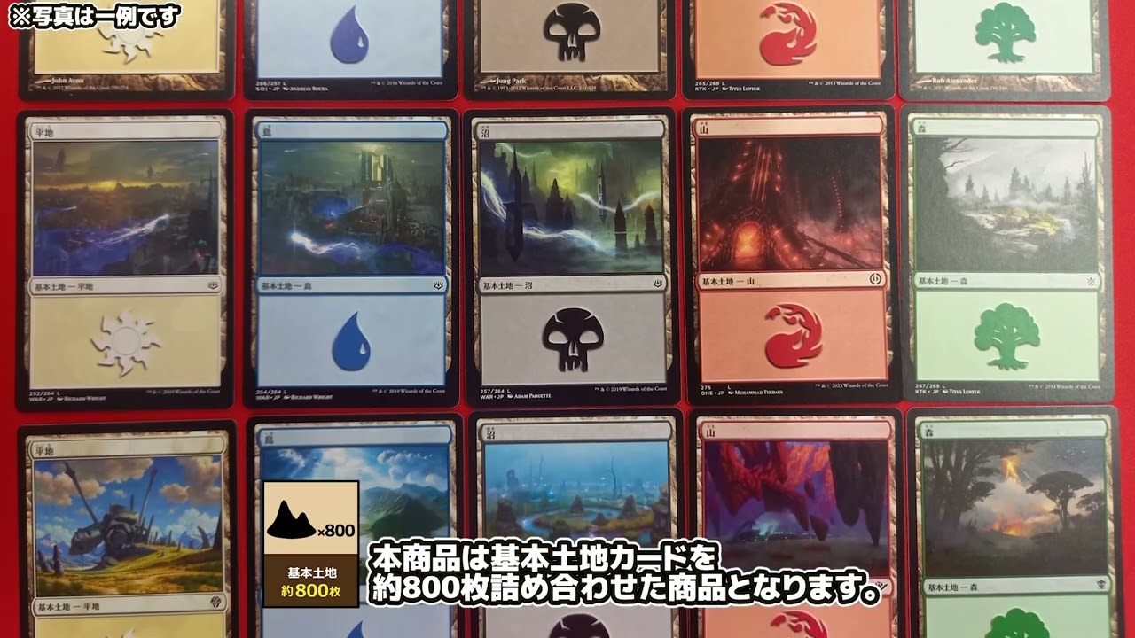 基本土地 約800枚 | 日本最大級 MTG通販サイト「晴れる屋」