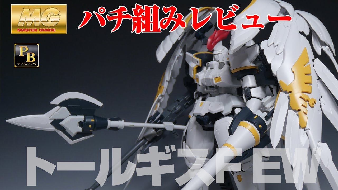 ガンプラ パチ組レビュー】機体解説付き！ プレバン限定MGトールギスF