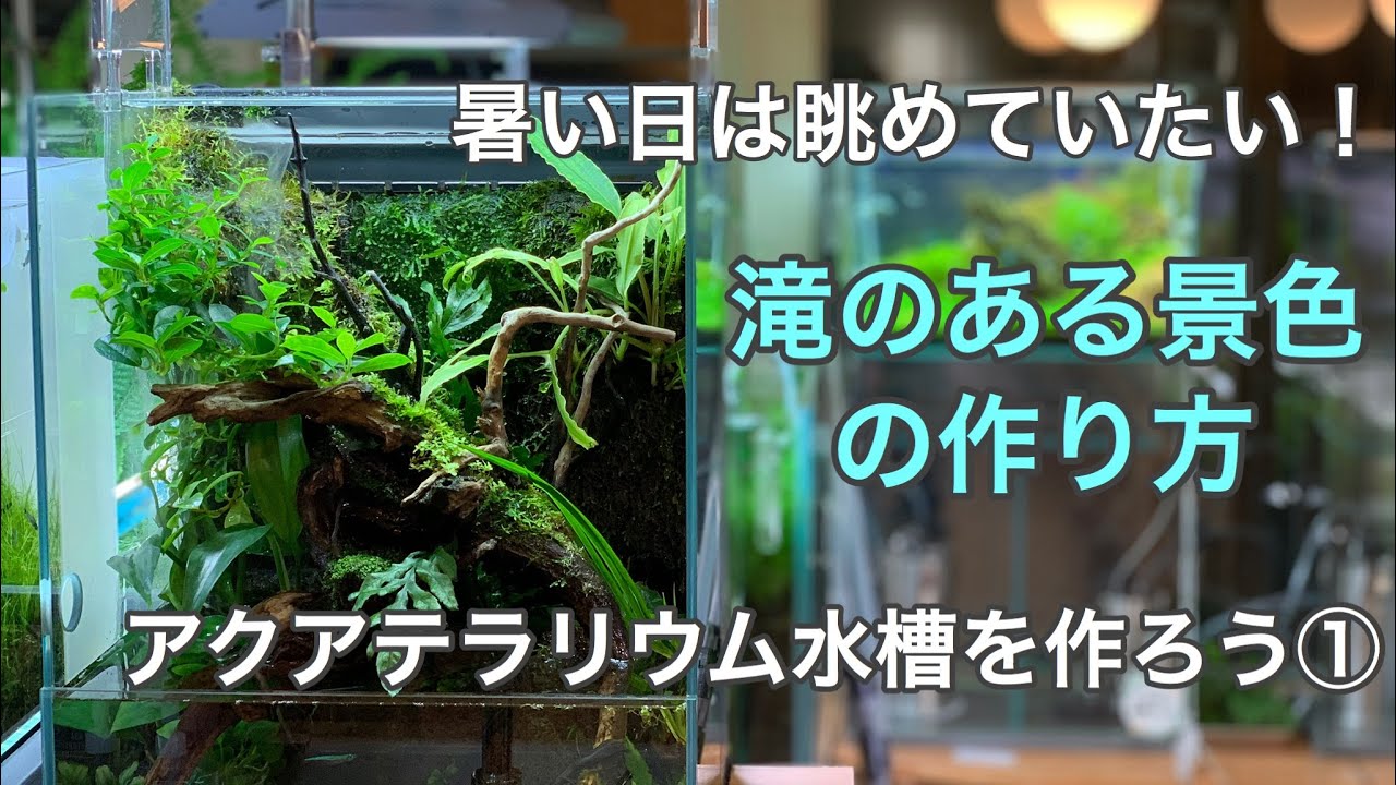 アクアテラリウム水槽で滝を作ろう！①DOOAシステムテラ30を作って