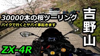 ZX-4R] Going on a motorcycle tour of Mount Yoshino is crazy
