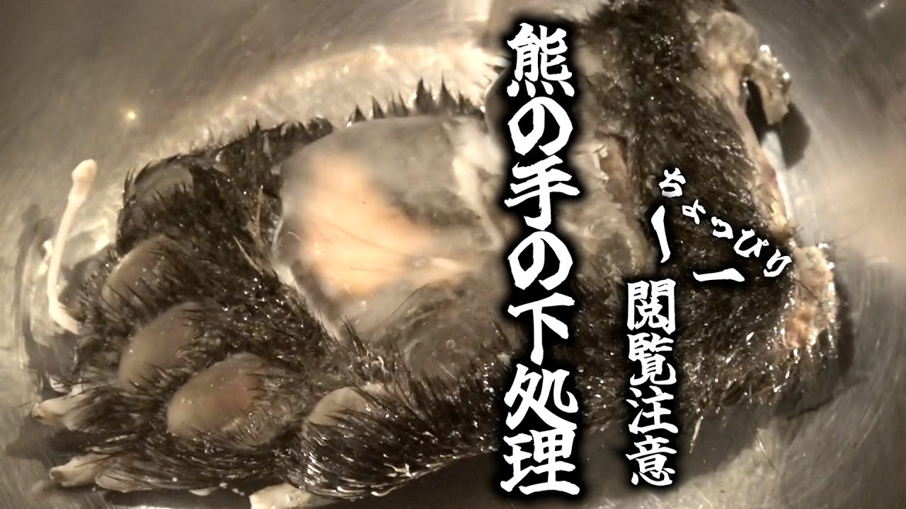 NEW【単品】長野県産・ツキノワグマの手／足 (約290g) – 米とサーカス