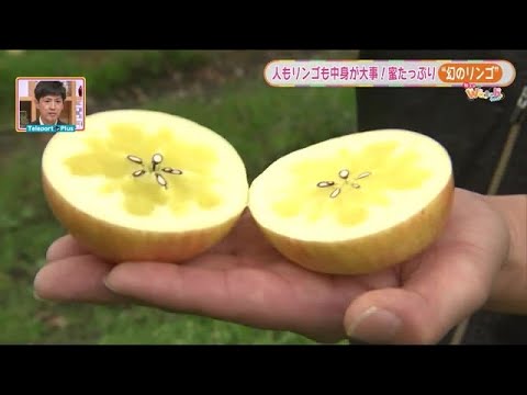 Almost Honey Apple] Seasonal News Watch (Teleport Plus broadcast