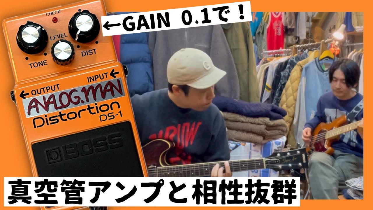 真空管アンプと相性抜群】BOSS DS-1 アナログマンMOD & FENDER BLUES