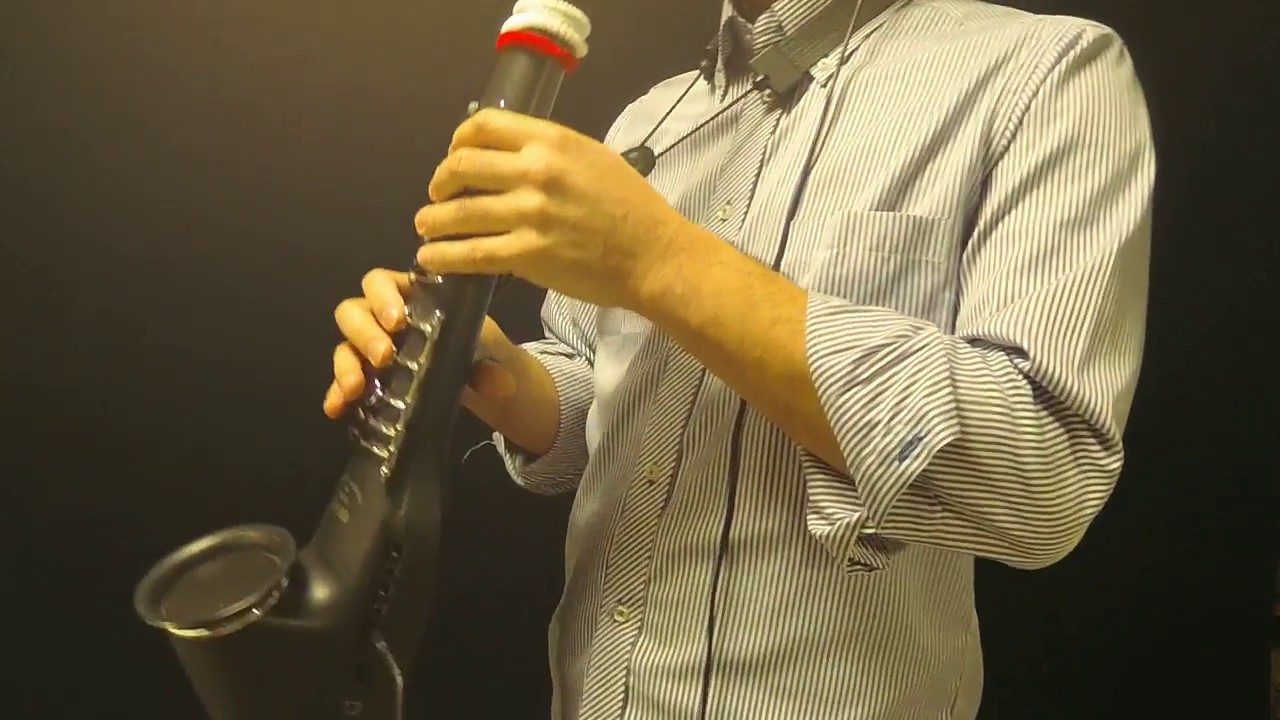 CASIO Digital Horn DH-500 Duo / Six Oyatsu Duets - YouTube