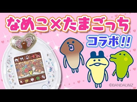 TamagotchP'sでなめこっちを育ててみた - YouTube