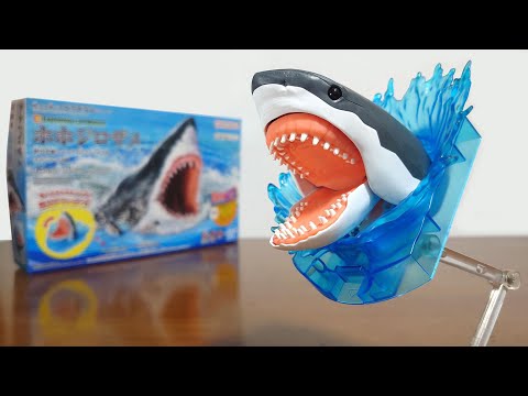 ホホジロサメがプラモデルで登場！迫力の開口アクション！色分けも