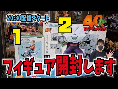 一番くじドラゴンボール40th【D賞ピッコロ】に【スナコレ2亀仙人