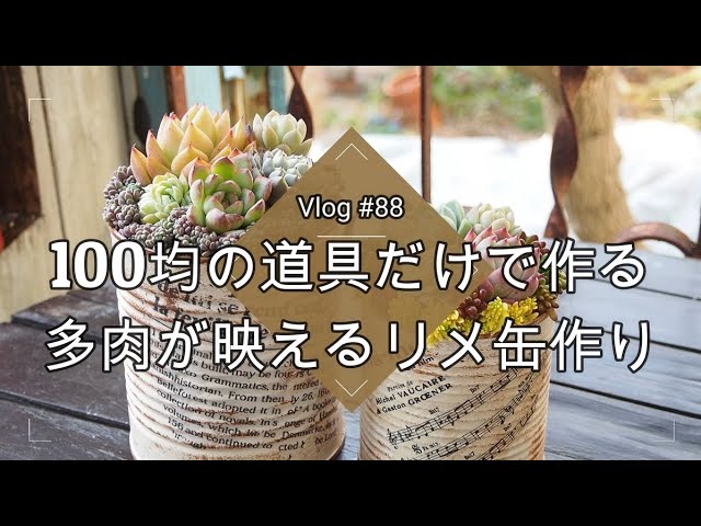 Vlog #88] [Succulents] A thorough explanation of how to make a