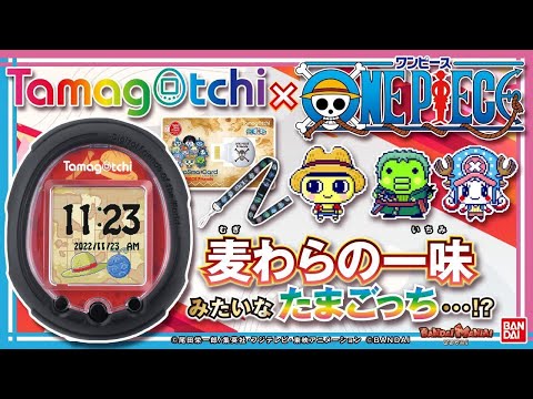 Bandai Official] Tamagotchi and One Piece Collaboration