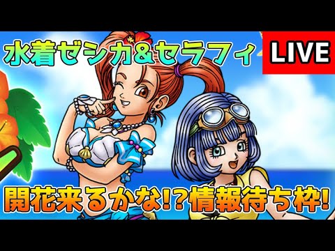 DQタクト】水着ゼシカ&セラフィの開花は来るのかな!?情報待ち雑談枠
