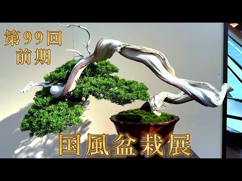 国風盆栽展 - YouTube