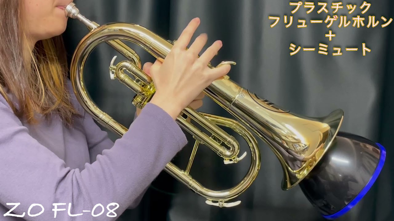 ラッパ吹きなら1本欲しくなる！ プラスチック フリューゲルホルン
