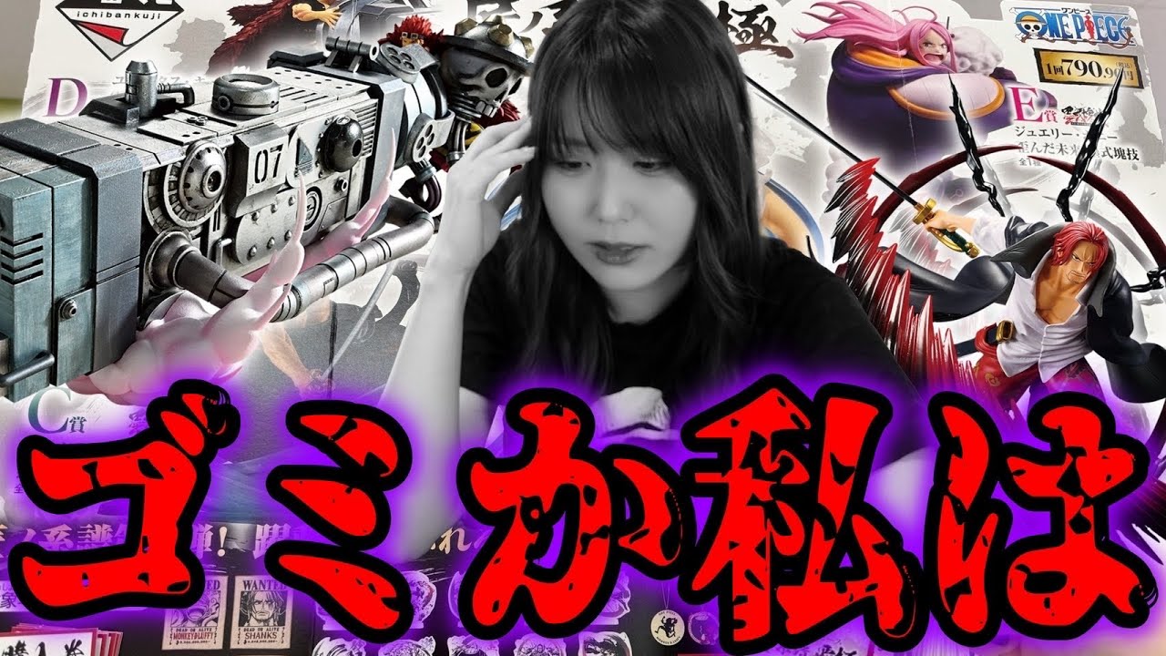 ONEPIECE】P.O.Pワンピース“Evolutionary History”Dr.ベガパンク 02