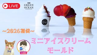 2026福袋】ミニアイスクリームモールド #ハンドメイド #隠れ工房