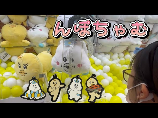 んぽちゃむ「いっしょにねんねBIGぬいぐるみ」クレーンゲームとガチャ