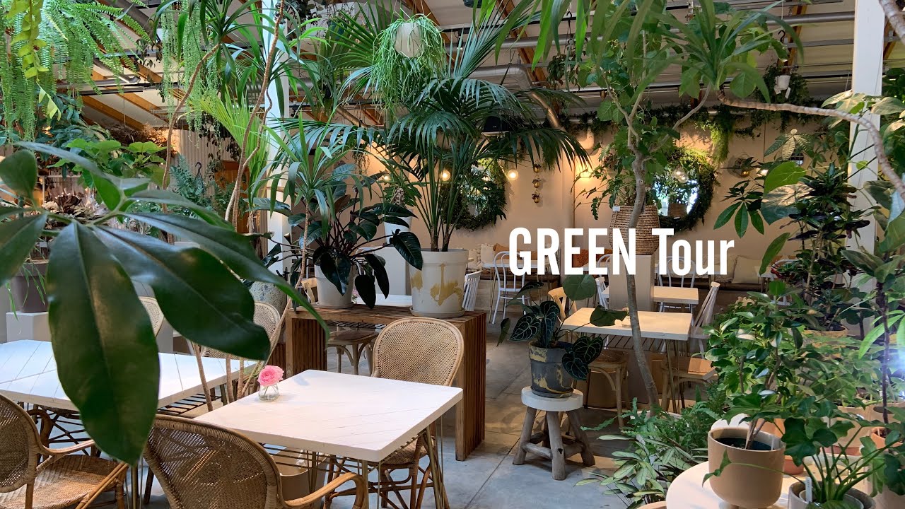 観葉植物】このカフェでコーヒー飲むと10倍おいしくなるのは私だけ