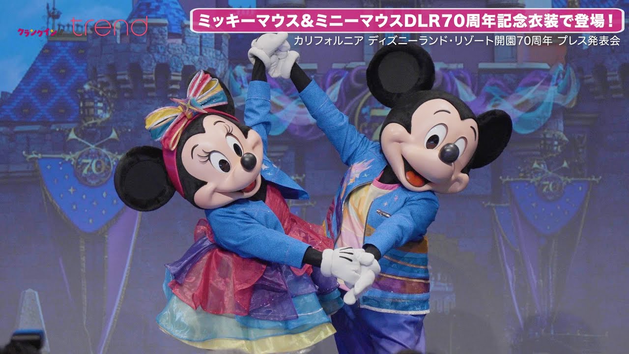 ディズニー絵画 70 Years Of Love ミッキーマウス ミニー ディズニー