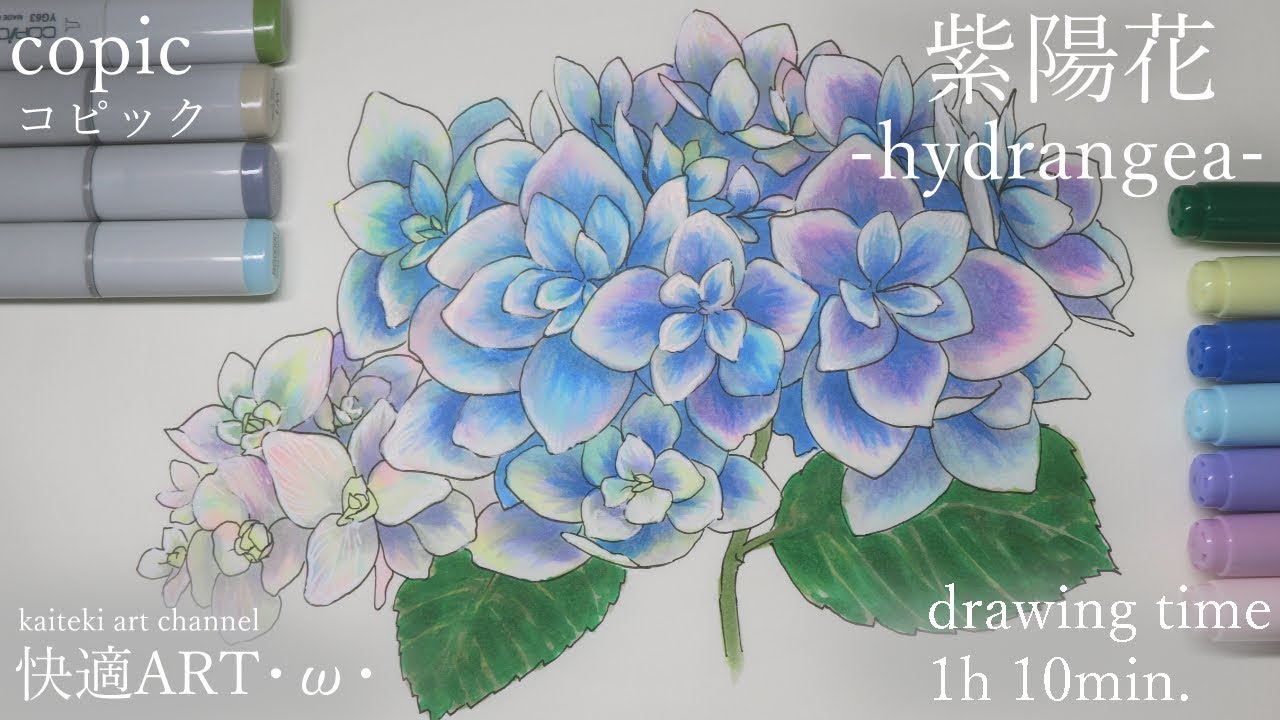 Eng sub]-hydrangea- COPIC illustration speed-painting - YouTube
