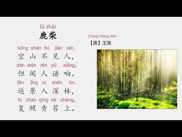 鹿柴唐.王维空山不见人，但闻人语响。返景入深林，复照青苔上。 - YouTube