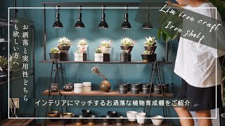 Lim iron craft] Introducing a stylish plant shelf that matches