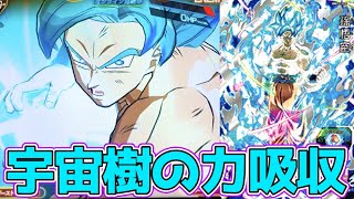 BM12-SEC】孫悟空(SSGSS•宇宙樹パワー)を使ってみた！【スーパー