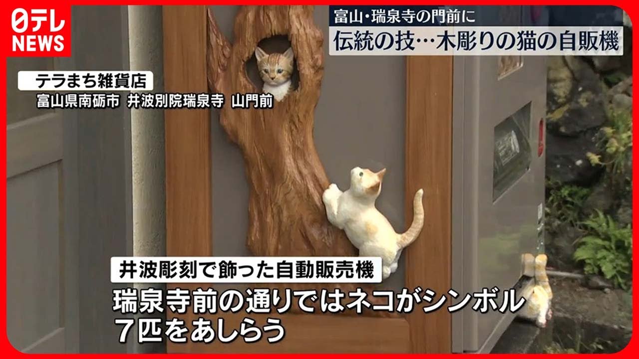 富山・瑞泉寺】古刹の山門前に…木彫りネコの自販機が登場 伝統の技