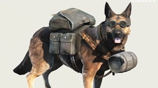 ドッグミート用バックパックMOD v2.0 : Fallout4⚡情報局