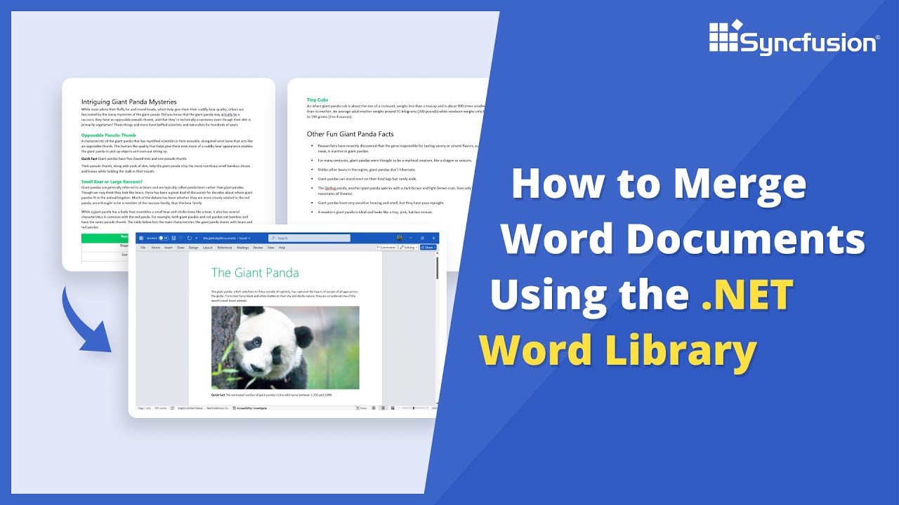 How to Merge Word Documents Using the .NET Word Library - YouTube