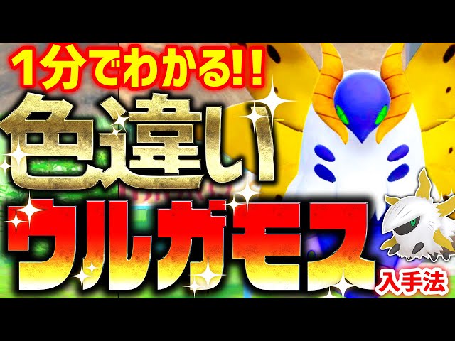 1分で分かる】色違いウルガモスをとんでもなく簡単に入手する方法