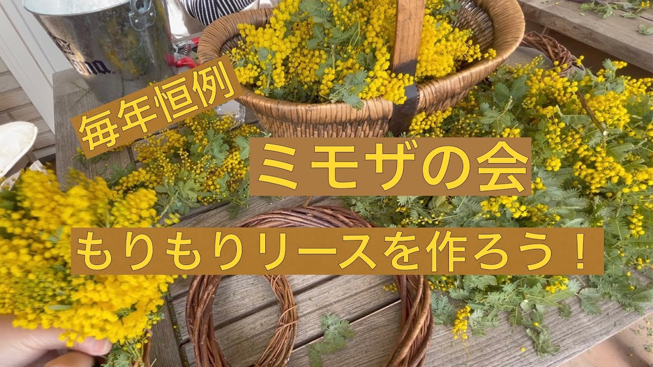 毎年恒例「ミモザの会」今年はどんなリースができるかな？ - YouTube