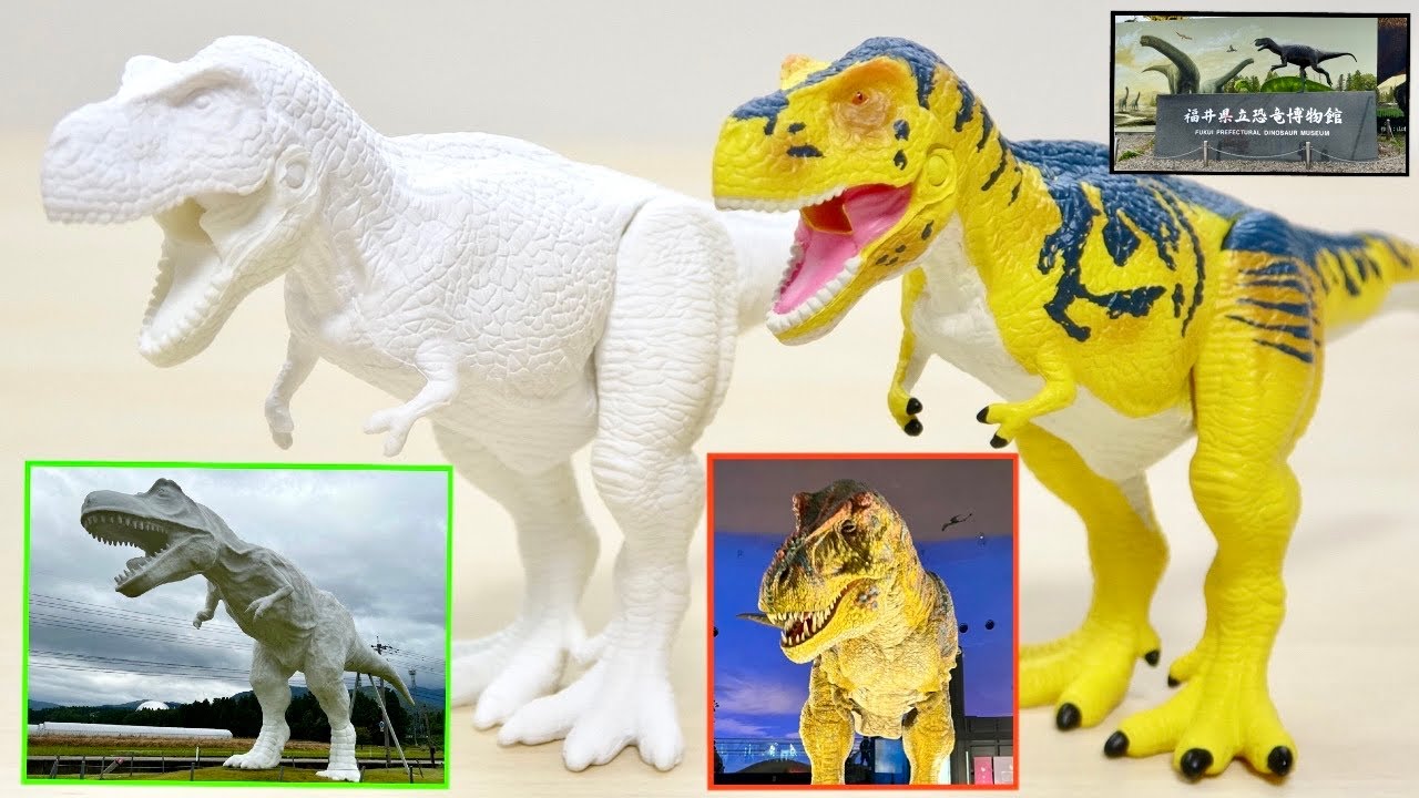 恐竜ルームに泊まって 宿泊者限定のアニアをゲット! 福井県立恐竜