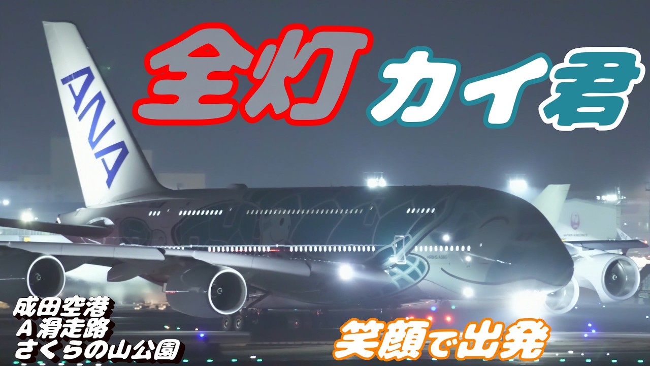4K】成田空港 さくらの山公園 ANA超巨大旅客機エアバスA380 カイ君 全