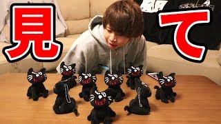 キヨから皆さんへ HAPPYなご報告 - YouTube