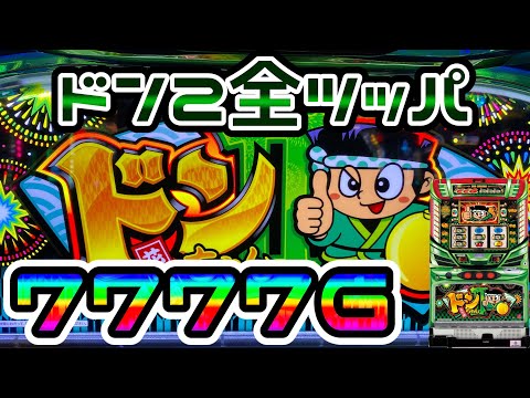 ドンちゃん2】設定5・6を使うホールで7777G全ツッパ!? - YouTube