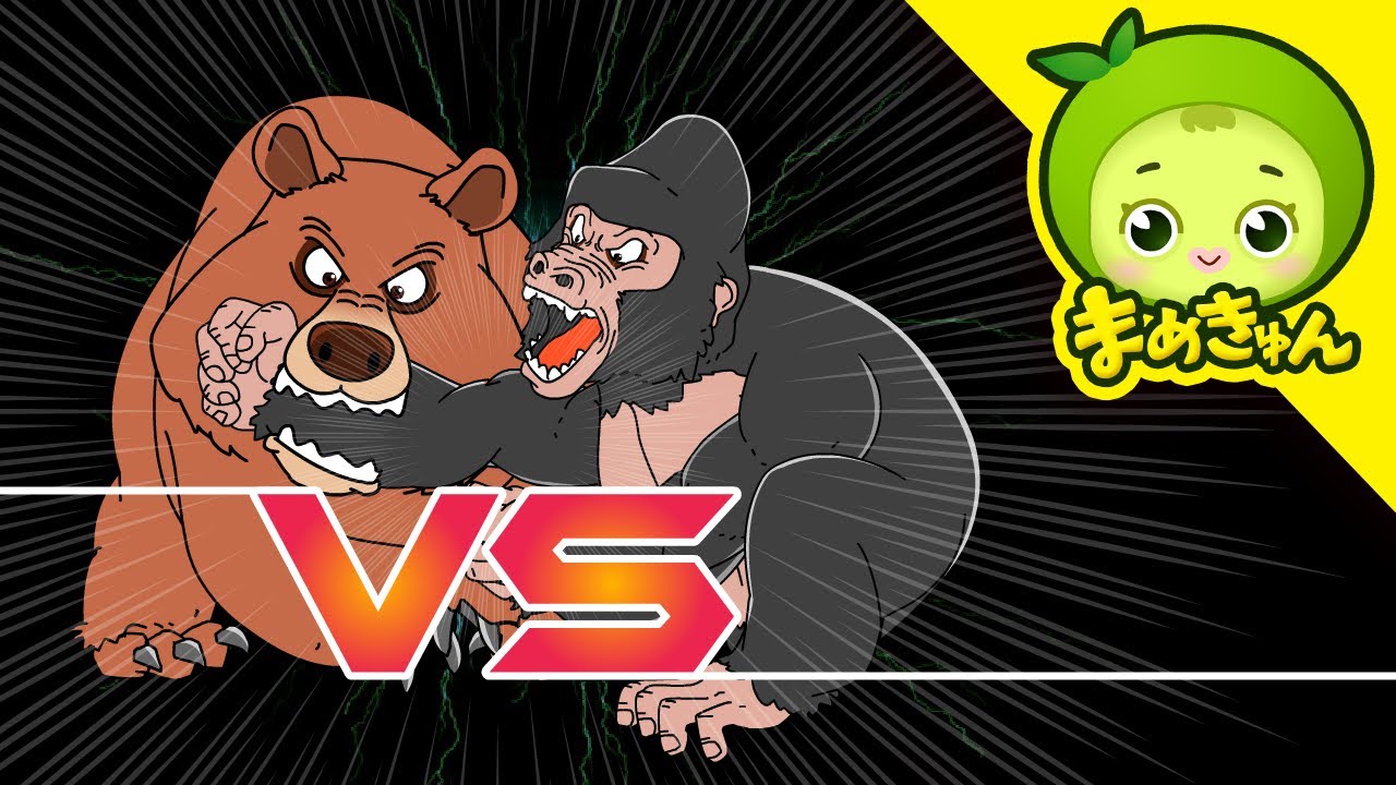 コディアックヒグマvsゴリラ | 動物バトル | まめきゅん MAMEKYUNN