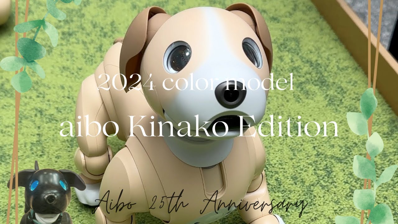 New Color】aibo きなこ エディション 〜aibo Kinako Edition