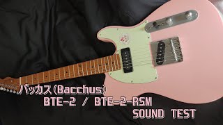 バッカス（Bacchus） BTE-2 RSM 買ってみた感想 機材レビュー - おとの