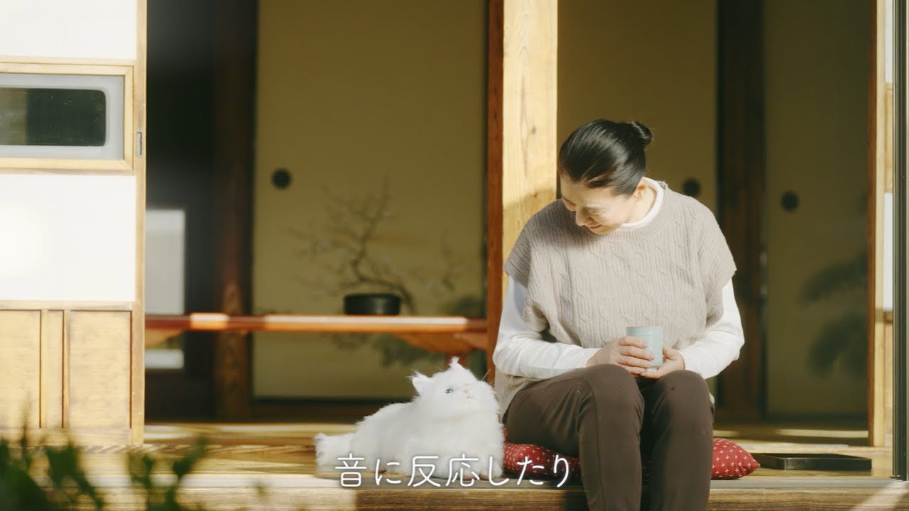 あなたのお迎えを待つ！猫の新感覚ペットロボット｜KIMIT（キミット