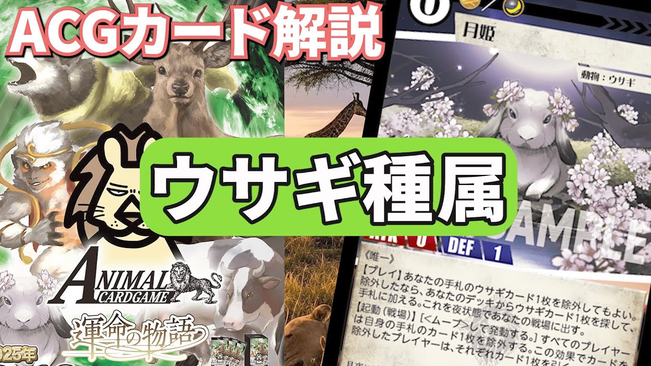 アニマルカードゲーム】運命の物語 ウサギ種属解説【カード解説