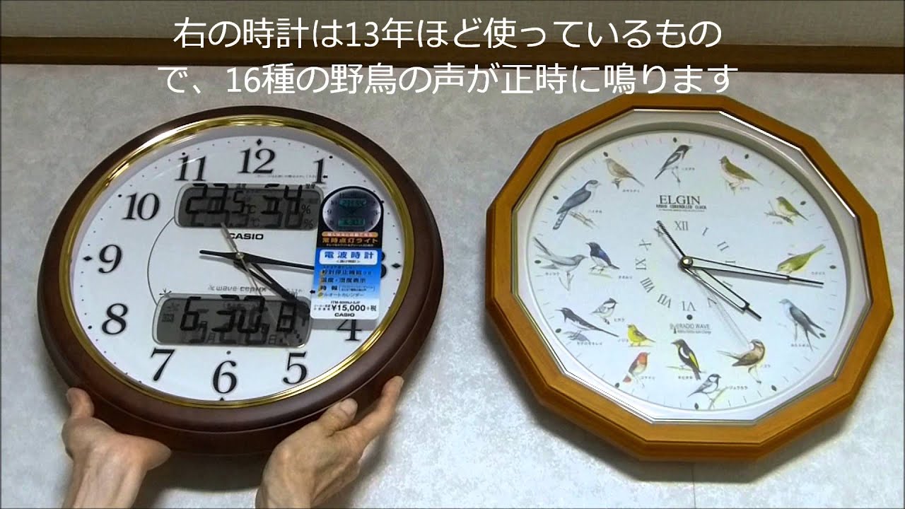 カシオ ITM-800NJ-5JF 鳥の声の時報 温度湿度計 文字盤点灯 秒針停止
