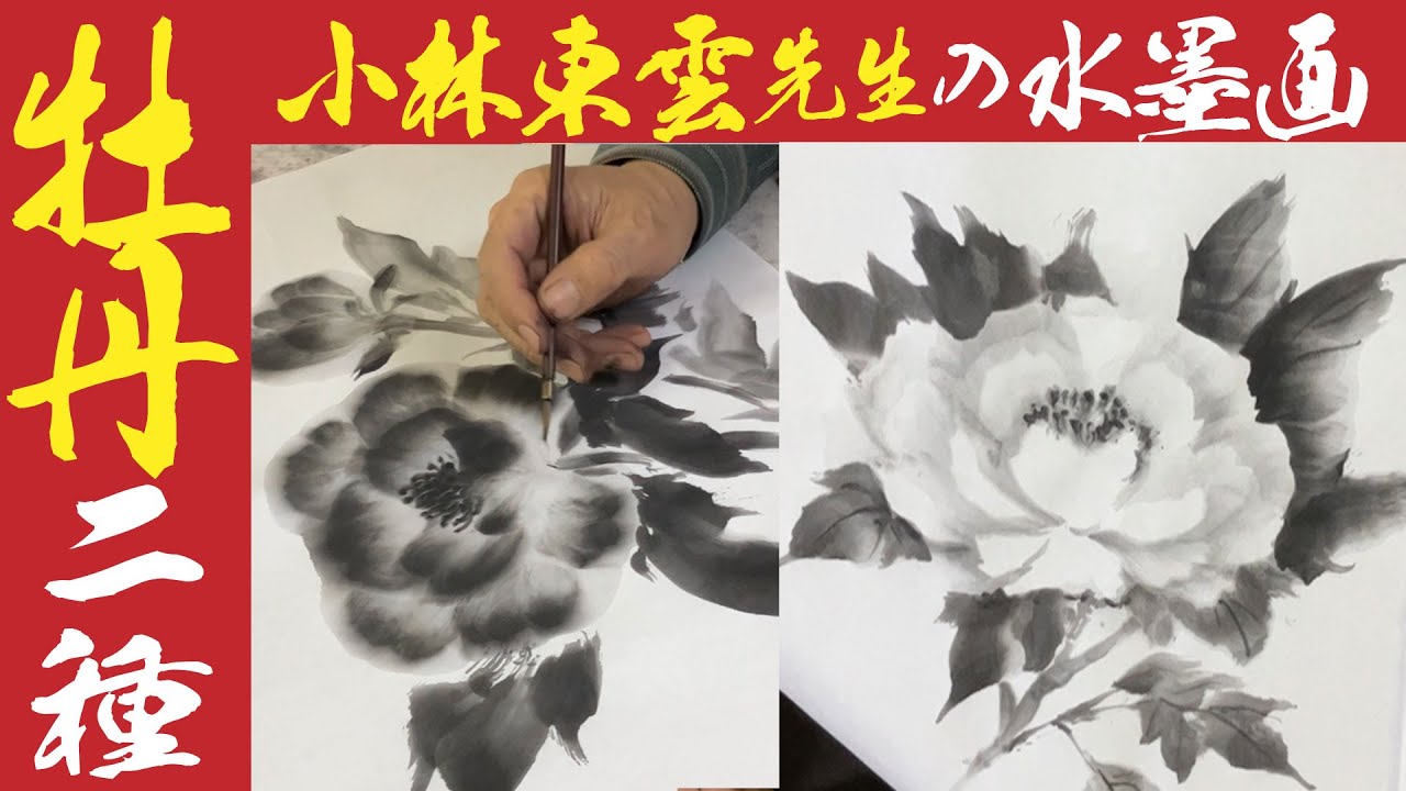 初心者：簡単技法・水墨画の牡丹の描き方2種＜実況解説＞◇東雲先生の