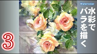 Garden roses painted with transparent watercolors by Yoshimoto