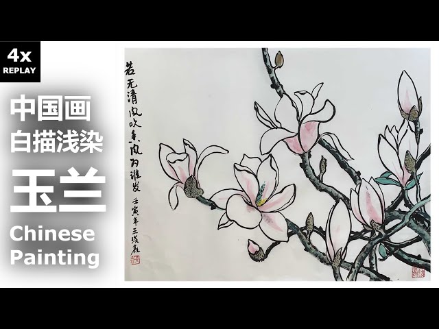 玉兰之三- 白描浅染Chinese Painting 4x Replay - Magnolia by 王璜鑫