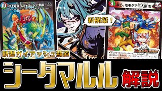 マルル基盤の新構築！？シータガイアッシュ覇道が強すぎる件【デュエマ