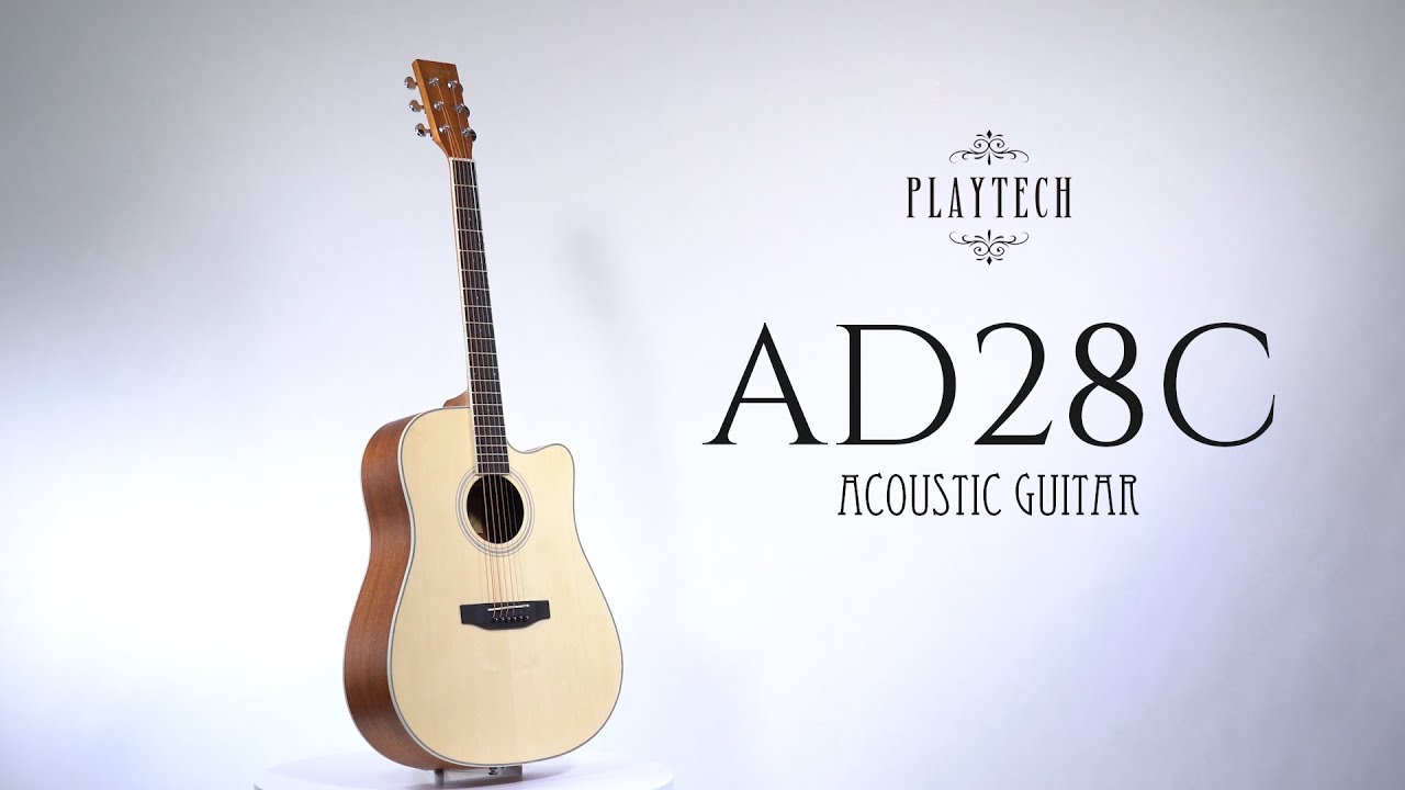 PLAYTECH ( プレイテック ) AD28C Sunburst ドレッドノート・カッタ