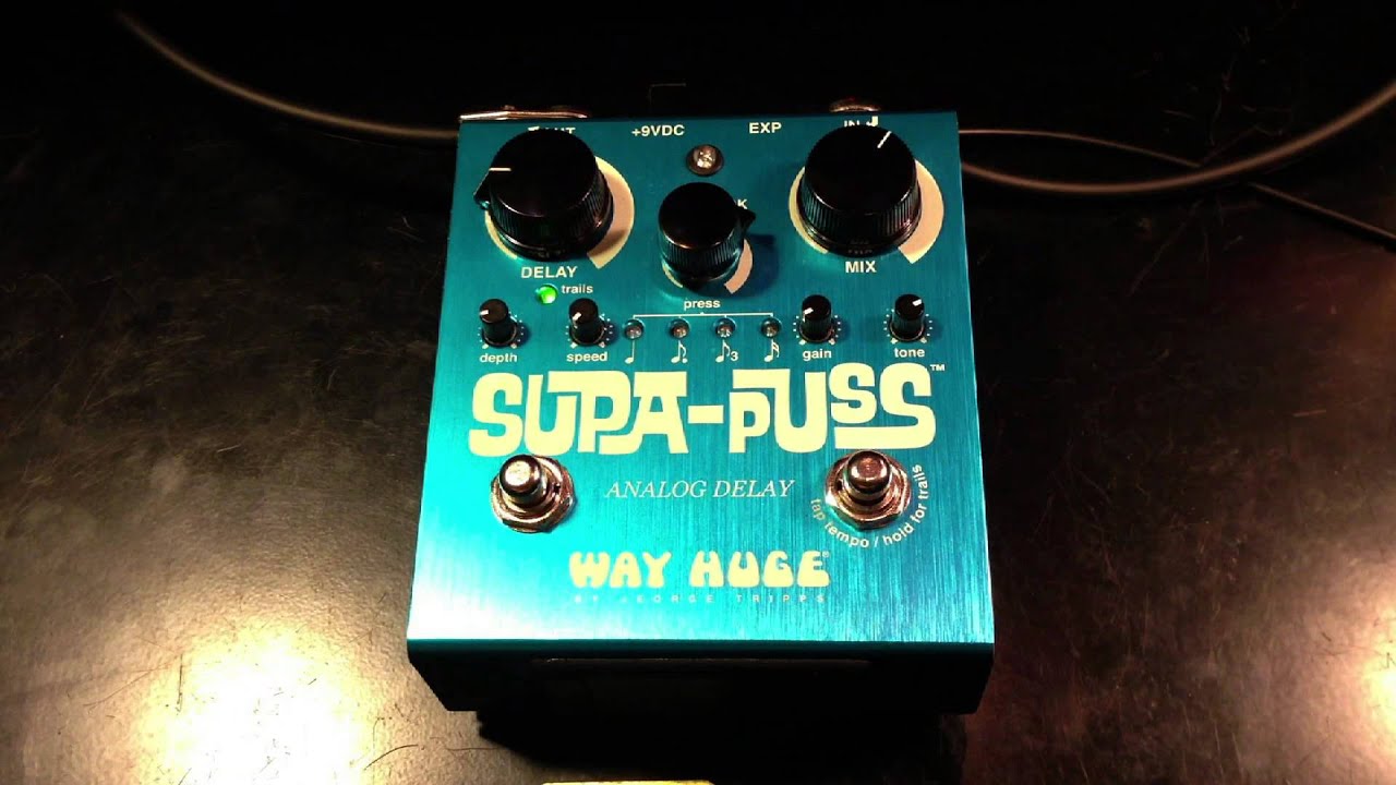 Way Huge Supa Puss Analog Delay - YouTube